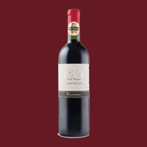 1865 Single Vineyard Carmenere - San Pedro
