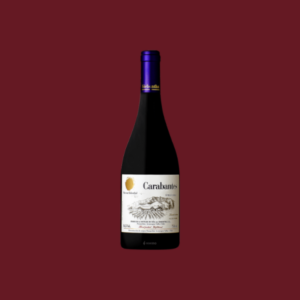 Carabantes Syrah - Von Siebenthal