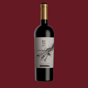 Massal Cabernet Sauvignon - Clos de Luz