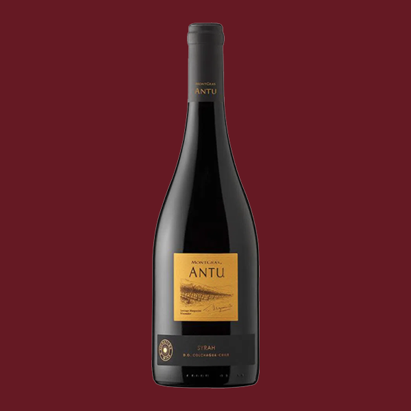 Antu Syrah Montgras
