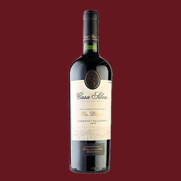 Gran Terroir de Los Andes Cabernet Sauvignon - Casa Silva